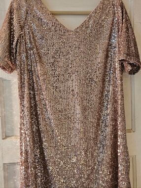 Ann Taylor A-line Pink Sequin V-Neck Party Dress